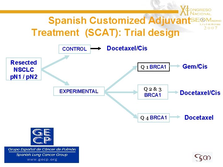 Spanish Customized Adjuvant Treatment (SCAT): Trial design CONTROL Resected NSCLC p. N 1 /