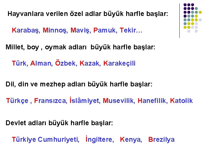 Hayvanlara verilen özel adlar büyük harfle başlar: Karabaş, Minnoş, Maviş, Pamuk, Tekir… Millet, boy