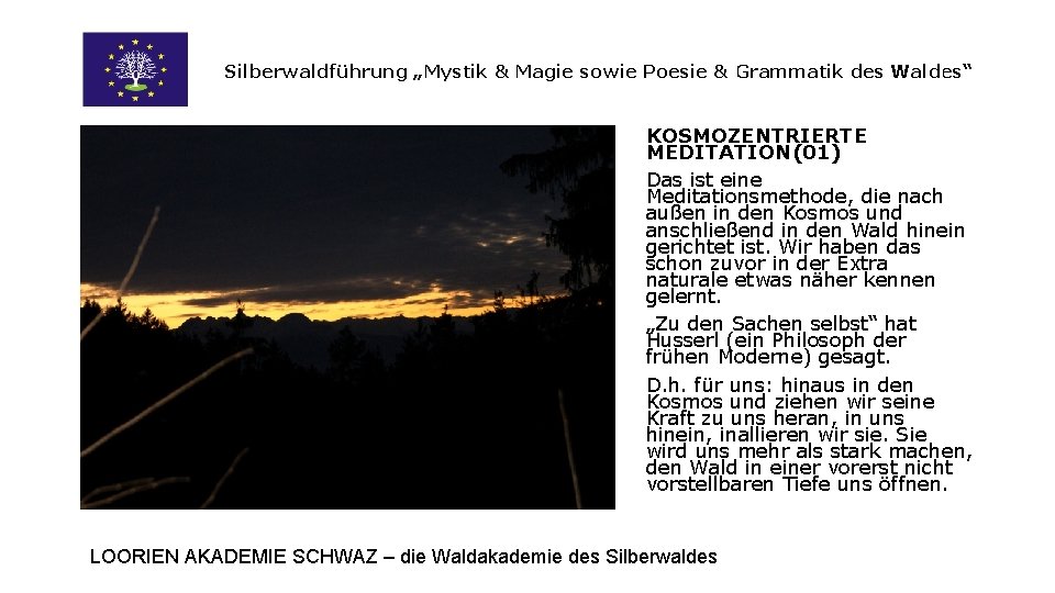 Silberwaldführung „Mystik & Magie sowie Poesie & Grammatik des Waldes“ KOSMOZENTRIERTE MEDITATION(01) Das ist