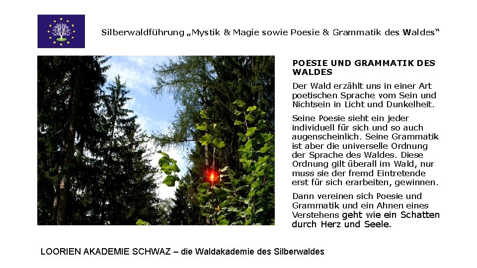 Silberwaldführung „Mystik & Magie sowie Poesie & Grammatik des Waldes“ POESIE UND GRAMMATIK DES