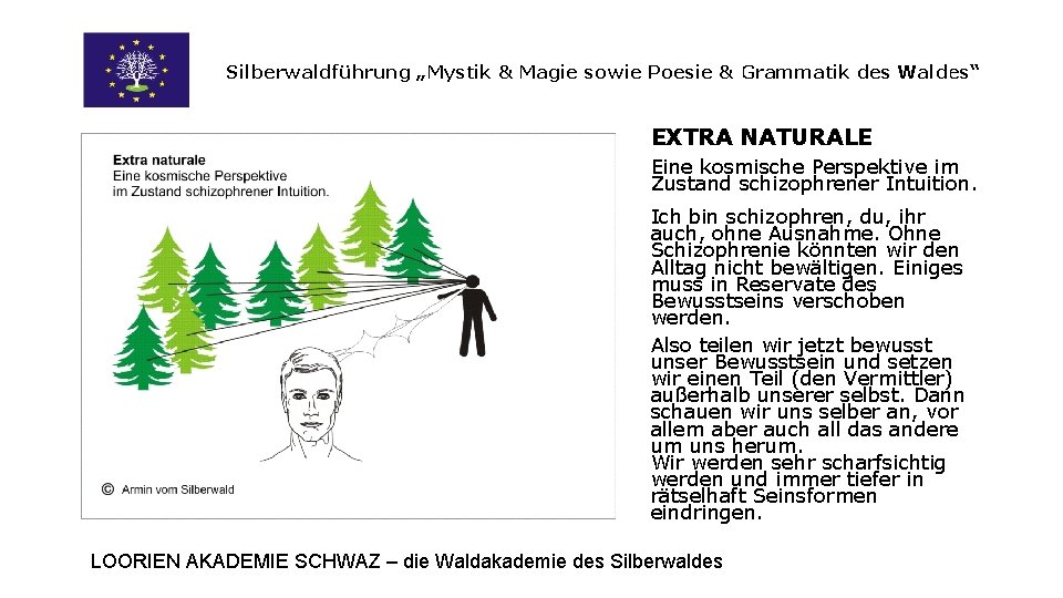 Silberwaldführung „Mystik & Magie sowie Poesie & Grammatik des Waldes“ EXTRA NATURALE Eine kosmische