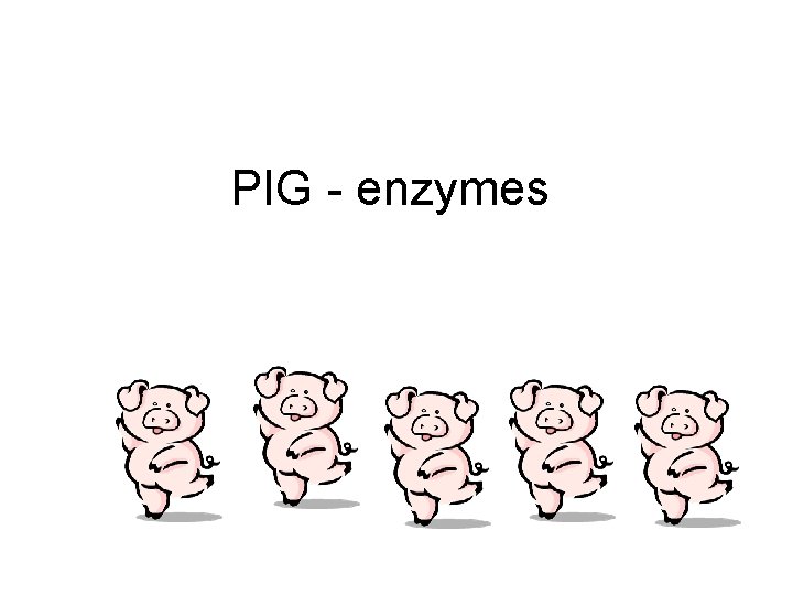 PIG - enzymes 