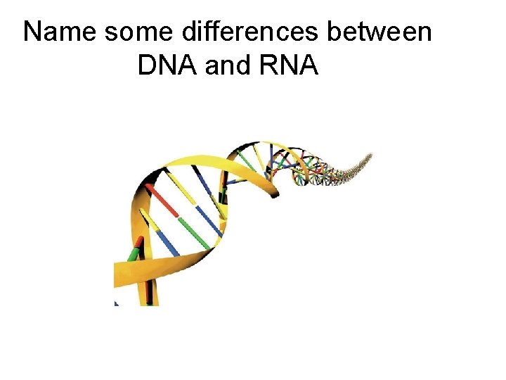 Name some differences between DNA and RNA 