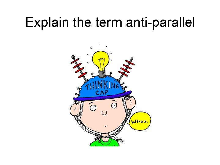 Explain the term anti-parallel 