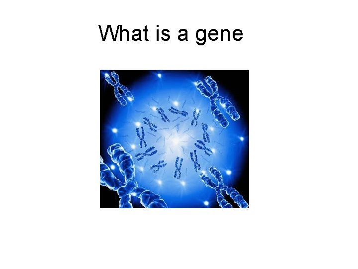 What is a gene 