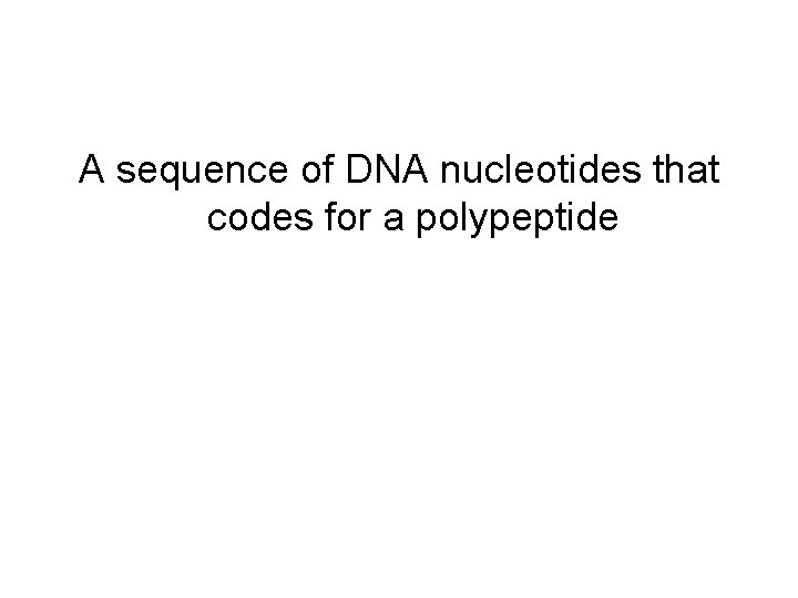 A sequence of DNA nucleotides that codes for a polypeptide 