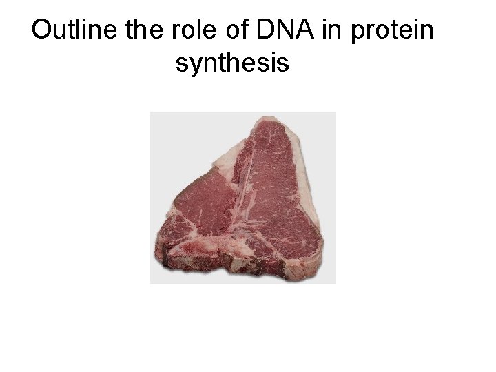 Outline the role of DNA in protein synthesis 