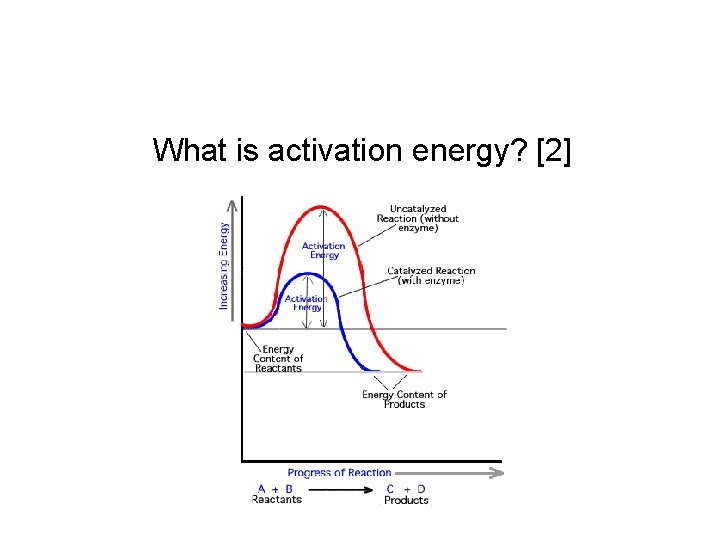 What is activation energy? [2] 