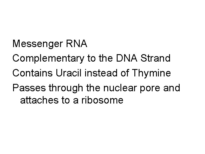 Messenger RNA Complementary to the DNA Strand Contains Uracil instead of Thymine Passes through