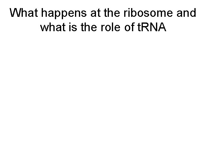 What happens at the ribosome and what is the role of t. RNA 