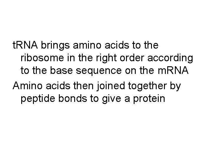 t. RNA brings amino acids to the ribosome in the right order according to
