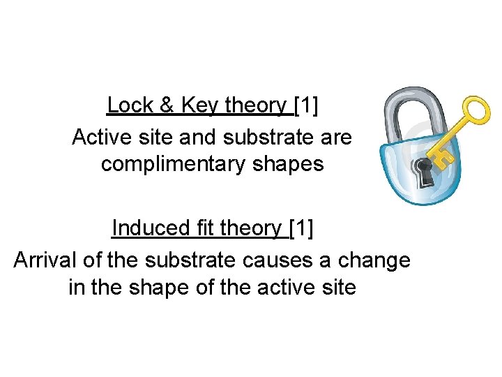Lock & Key theory [1] Active site and substrate are complimentary shapes Induced fit