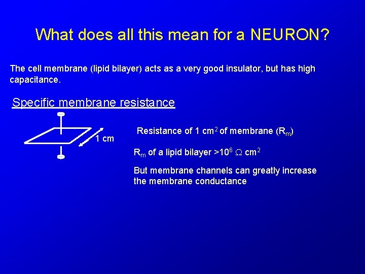 What does all this mean for a NEURON? The cell membrane (lipid bilayer) acts