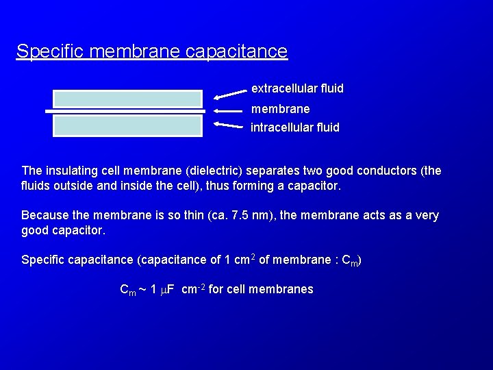 Specific membrane capacitance extracellular fluid membrane intracellular fluid The insulating cell membrane (dielectric) separates