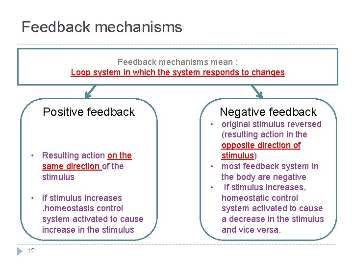 Feedback mechanisms mean : Loop system in which the system responds to changes Positive