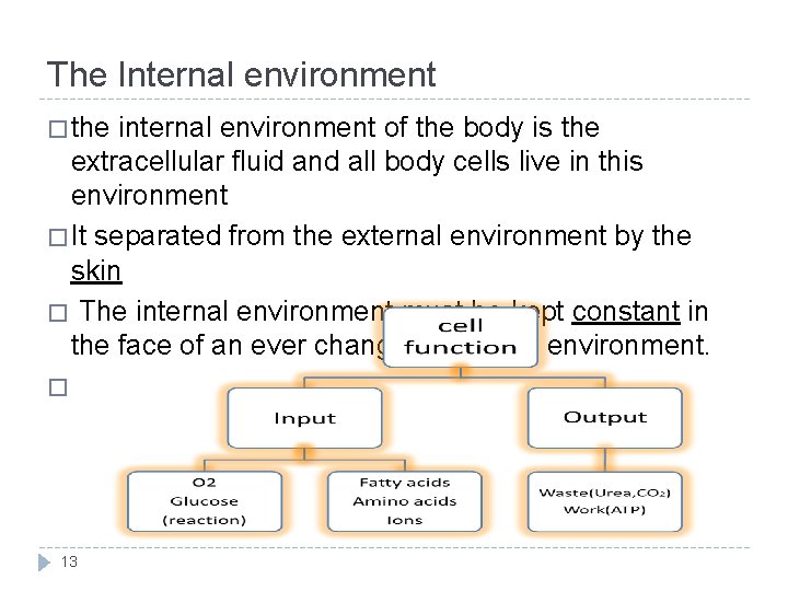 The Internal environment � the internal environment of the body is the extracellular fluid