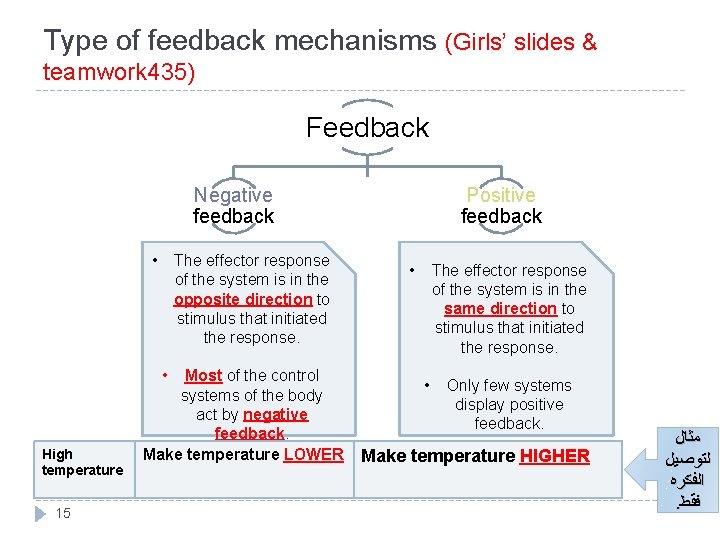 Type of feedback mechanisms (Girls’ slides & teamwork 435) Feedback Negative feedback • The