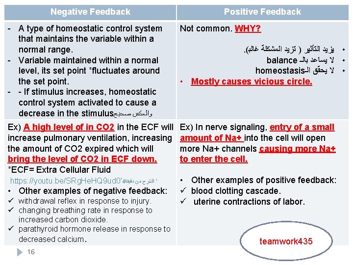 Negative Feedback Positive Feedback - A type of homeostatic control system that maintains the