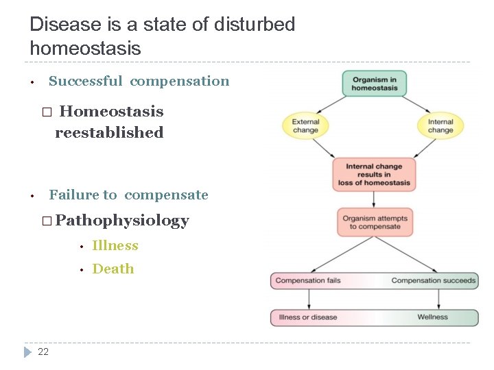 Disease is a state of disturbed homeostasis Successful compensation • � Homeostasis reestablished Failure