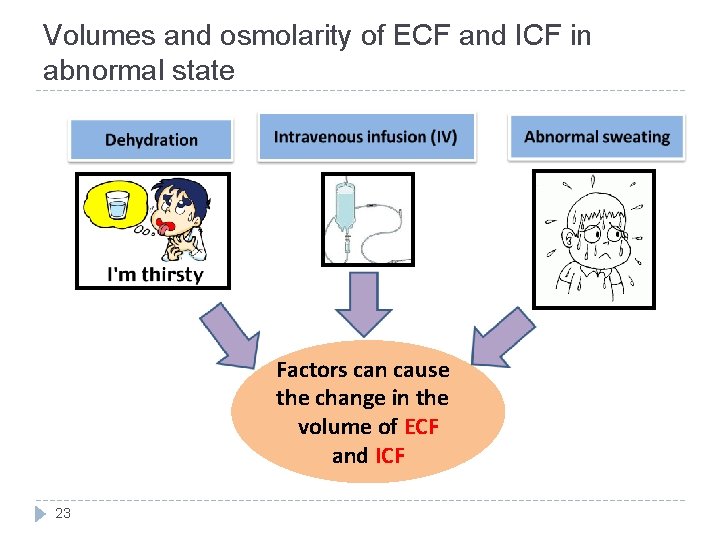 Volumes and osmolarity of ECF and ICF in abnormal state Factors can cause the