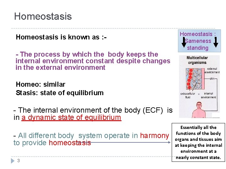 Homeostasis is known as : - The process by which the body keeps the