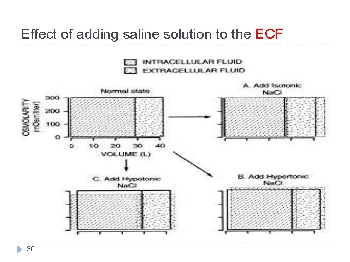 Effect of adding saline solution to the ECF 30 