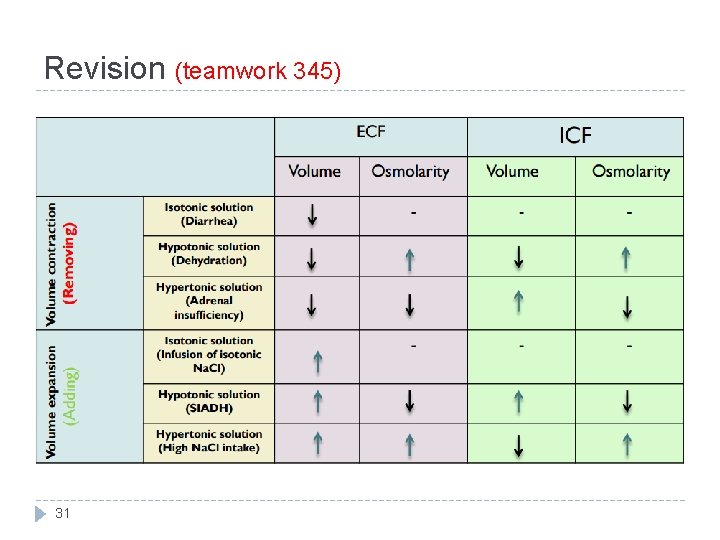 Revision (teamwork 345) 31 