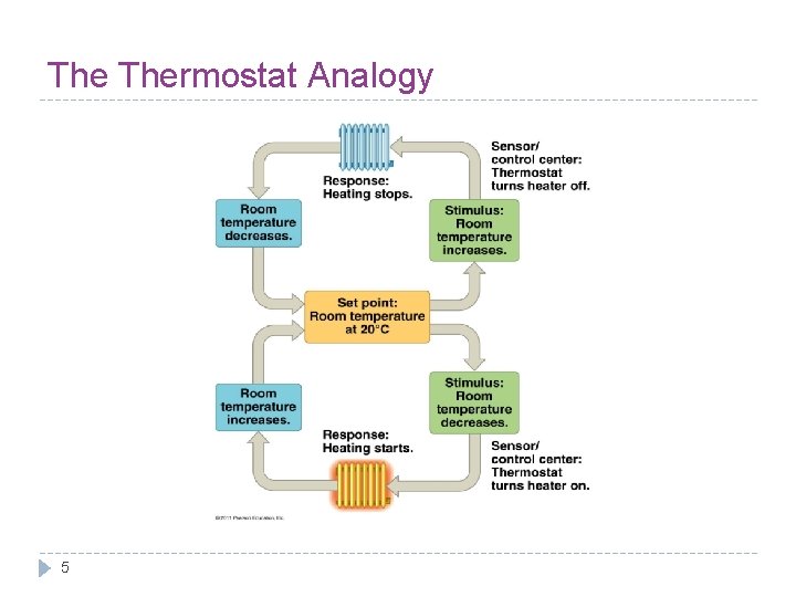 The Thermostat Analogy 5 