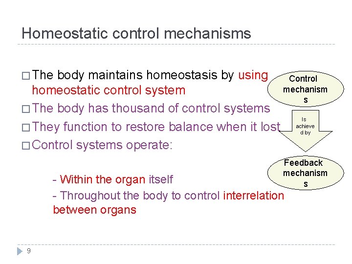 Homeostatic control mechanisms � The body maintains homeostasis by using Control mechanism homeostatic control