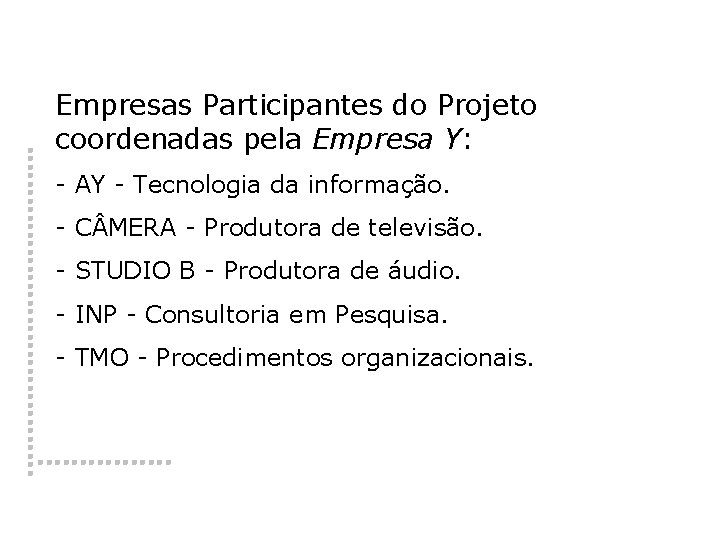 Empresas Participantes do Projeto coordenadas pela Empresa Y: - AY - Tecnologia da informação.