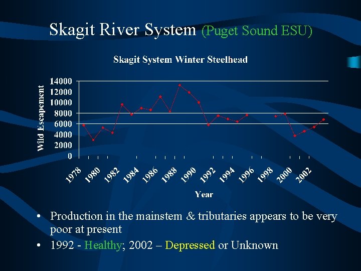 Skagit River System (Puget Sound ESU) • Production in the mainstem & tributaries appears