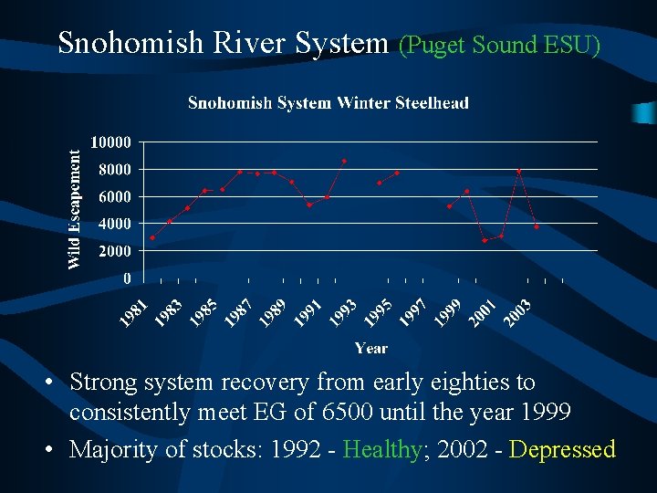 Snohomish River System (Puget Sound ESU) • Strong system recovery from early eighties to
