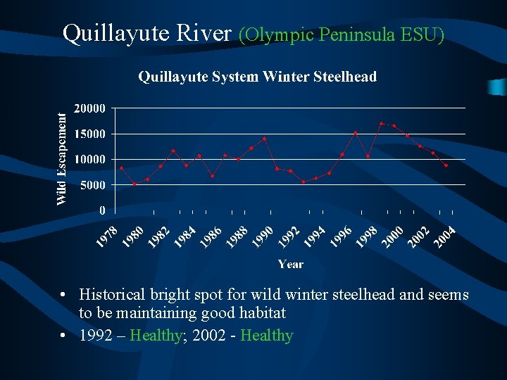 Quillayute River (Olympic Peninsula ESU) • Historical bright spot for wild winter steelhead and