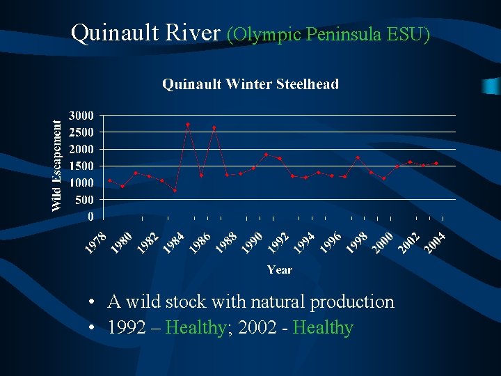 Quinault River (Olympic Peninsula ESU) • A wild stock with natural production • 1992