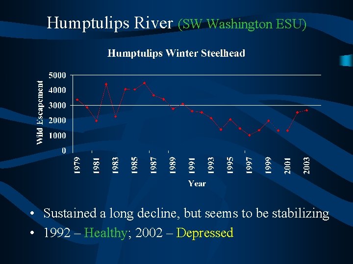 Humptulips River (SW Washington ESU) • Sustained a long decline, but seems to be