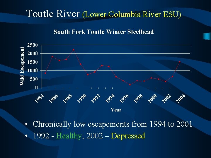 Toutle River (Lower Columbia River ESU) • Chronically low escapements from 1994 to 2001
