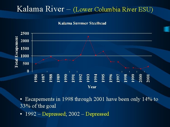 Kalama River – (Lower Columbia River ESU) • Escapements in 1998 through 2001 have
