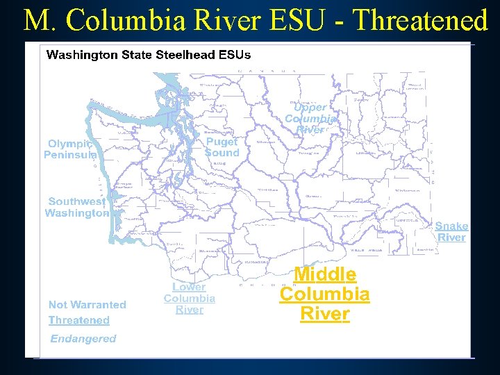 M. Columbia River ESU - Threatened 