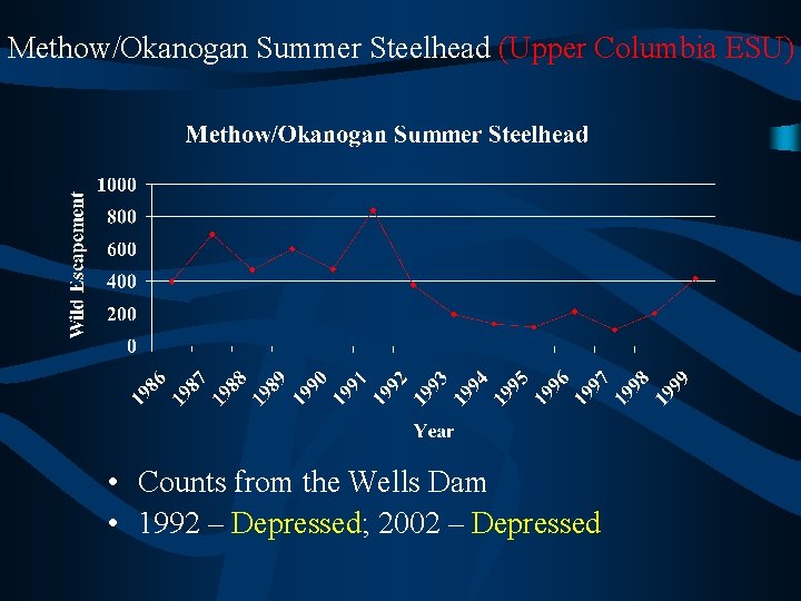 Methow/Okanogan Summer Steelhead (Upper Columbia ESU) • Counts from the Wells Dam • 1992