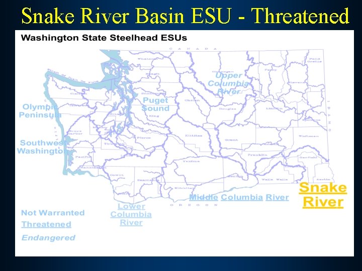 Snake River Basin ESU - Threatened 