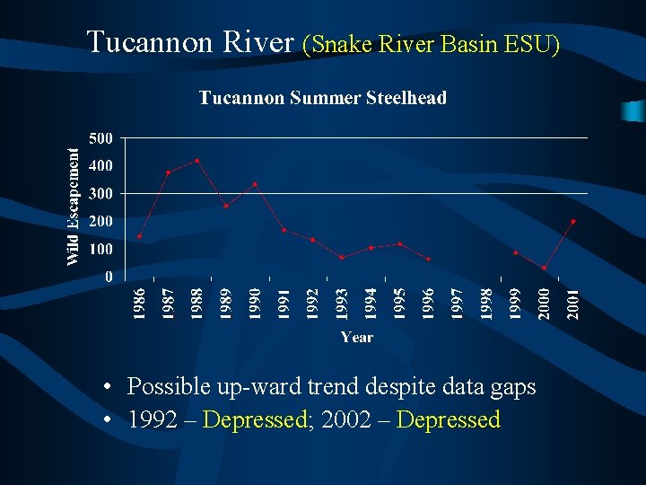 Tucannon River (Snake River Basin ESU) • Possible up-ward trend despite data gaps •