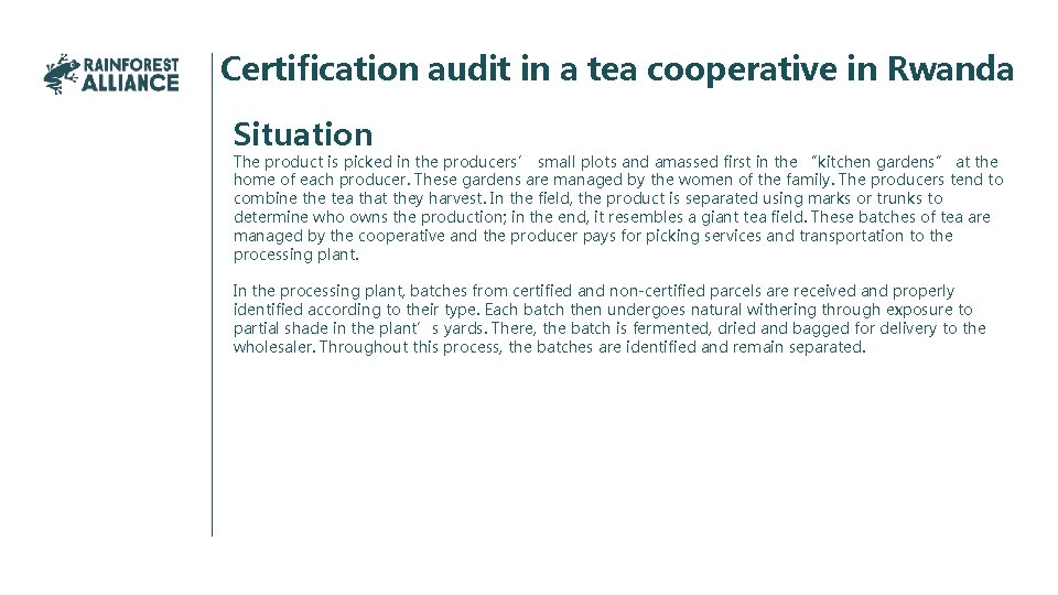Certification audit in a tea cooperative in Rwanda Situation The product is picked in