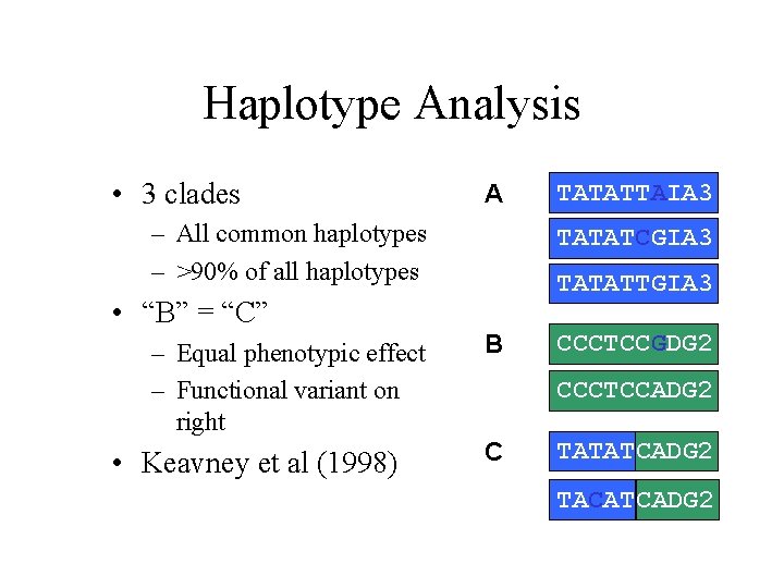 Haplotype Analysis • 3 clades A – All common haplotypes – >90% of all