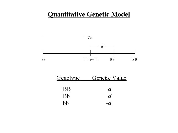 Quantitative Genetic Model 2 a d midpoint bb Bb Genotype Genetic Value BB Bb