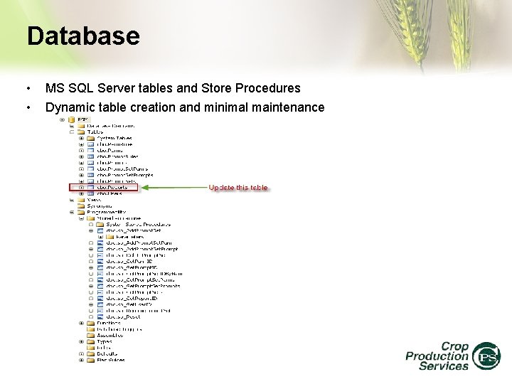 Database • • MS SQL Server tables and Store Procedures Dynamic table creation and