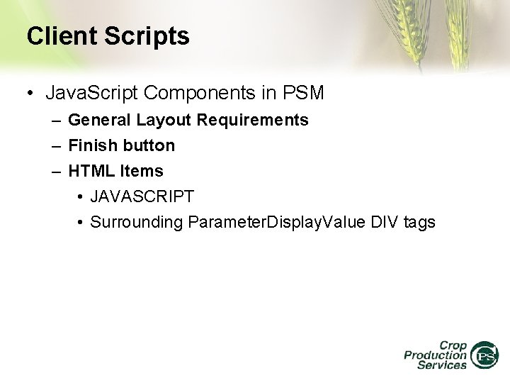 Client Scripts • Java. Script Components in PSM – General Layout Requirements – Finish