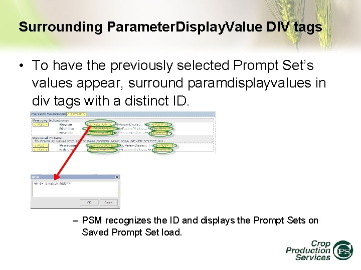 Surrounding Parameter. Display. Value DIV tags • To have the previously selected Prompt Set’s