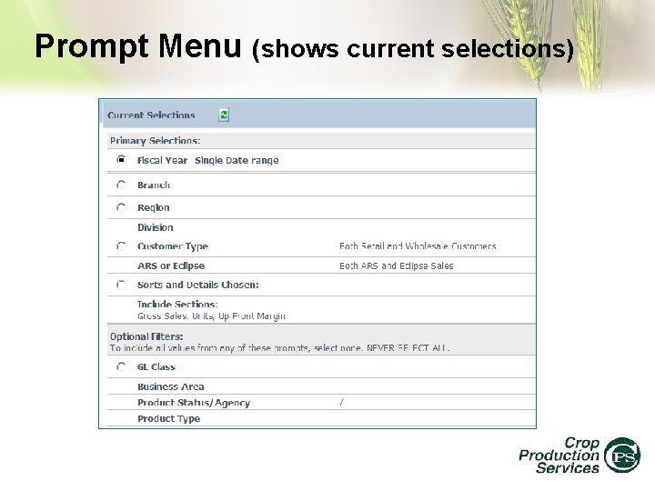 Prompt Menu (shows current selections) 