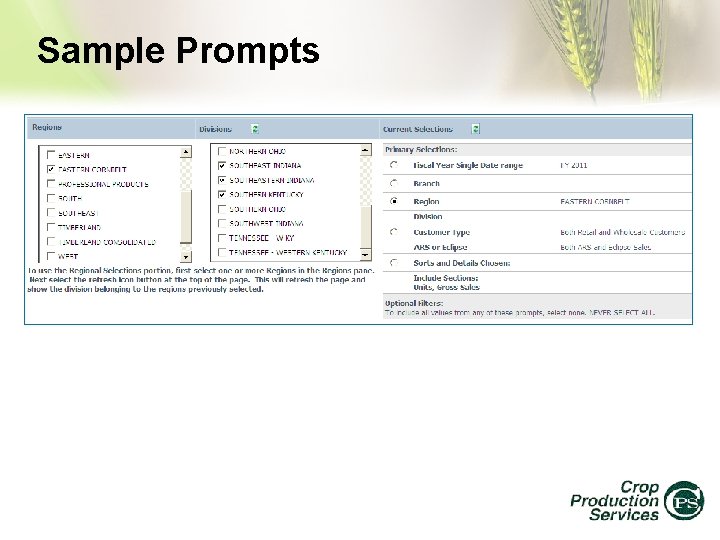 Sample Prompts 