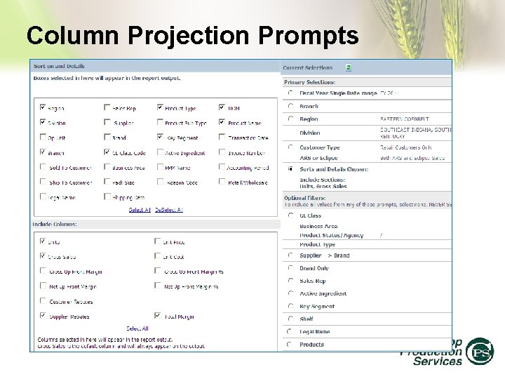 Column Projection Prompts 
